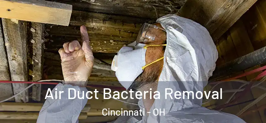 Air Duct Bacteria Removal Cincinnati - OH