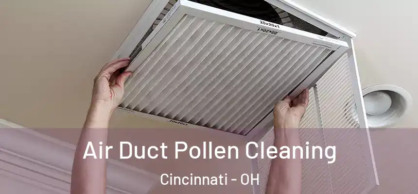 Air Duct Pollen Cleaning Cincinnati - OH