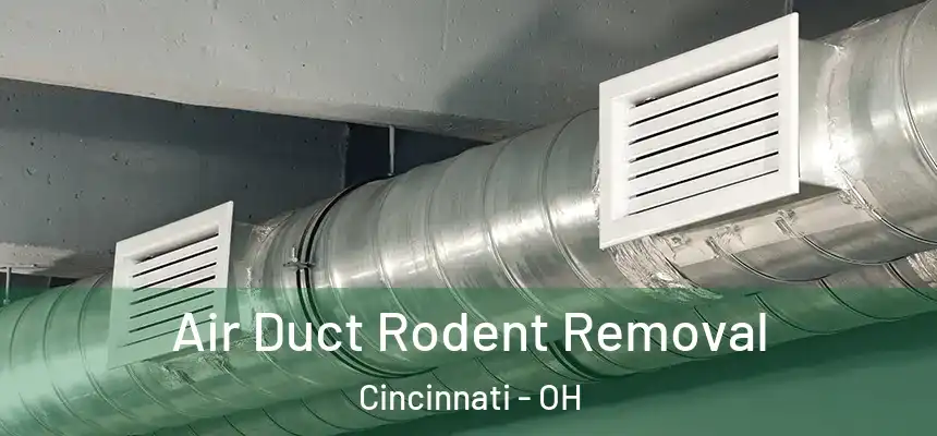 Air Duct Rodent Removal Cincinnati - OH