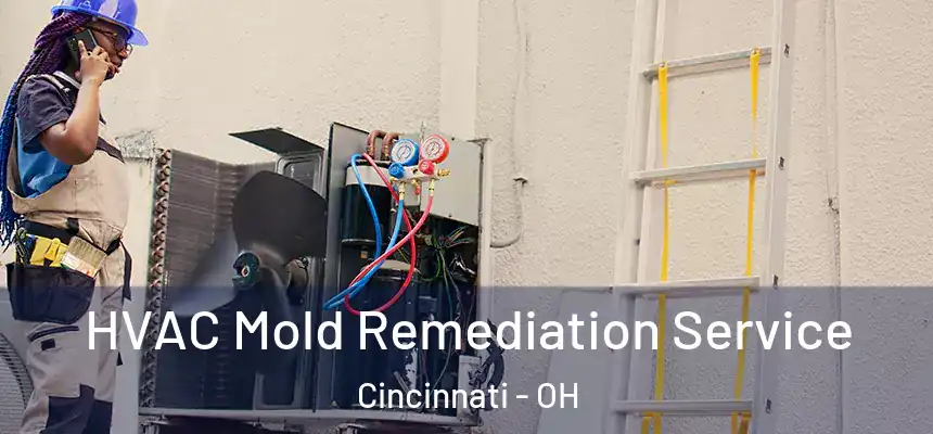 HVAC Mold Remediation Service Cincinnati - OH