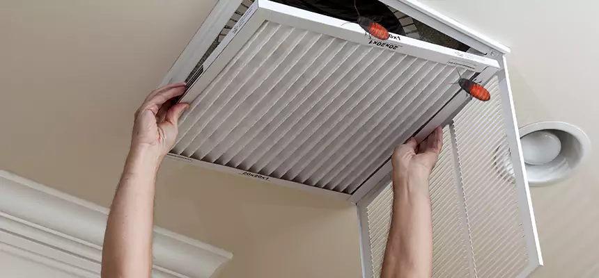 Preventive Cockroach-Proofing for Ducts in Cincinnati