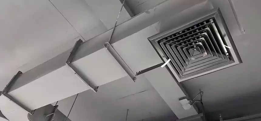 Restorative Allergy Relief Vent Cleaning – Coil, Blower & Housing Detail in Cincinnati