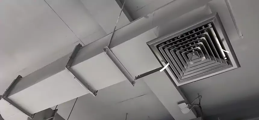 Our Pest Removal From Ducts Services in Cincinnati, OH