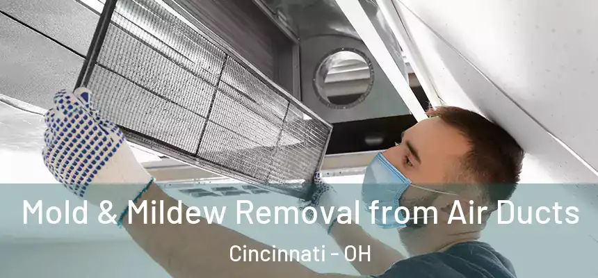 Mold & Mildew Removal from Air Ducts Cincinnati - OH