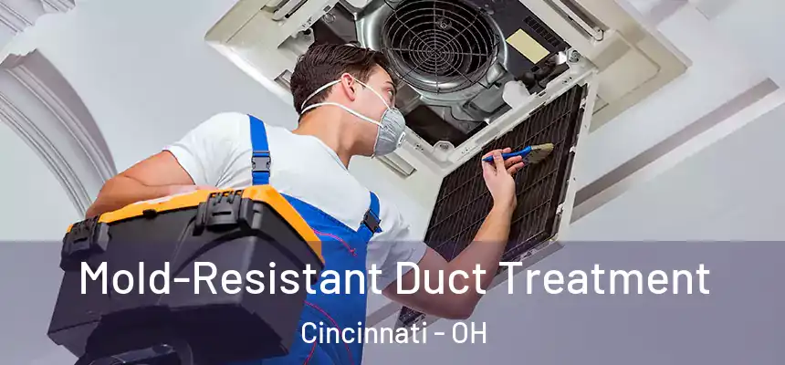 Mold-Resistant Duct Treatment Cincinnati - OH