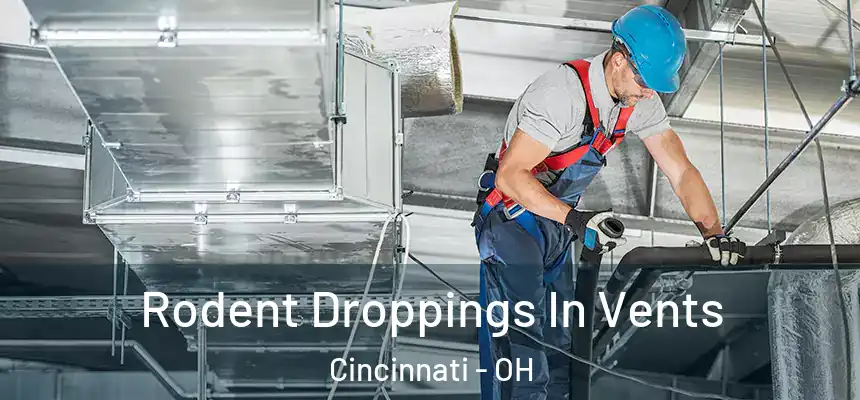 Rodent Droppings In Vents Cincinnati - OH