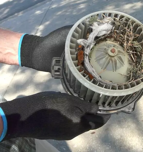 About Air Duct Rat Removal in Cincinnati, OH