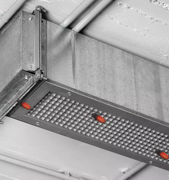 Affordable Insect Removal from Air Ducts in Cincinnati, OH