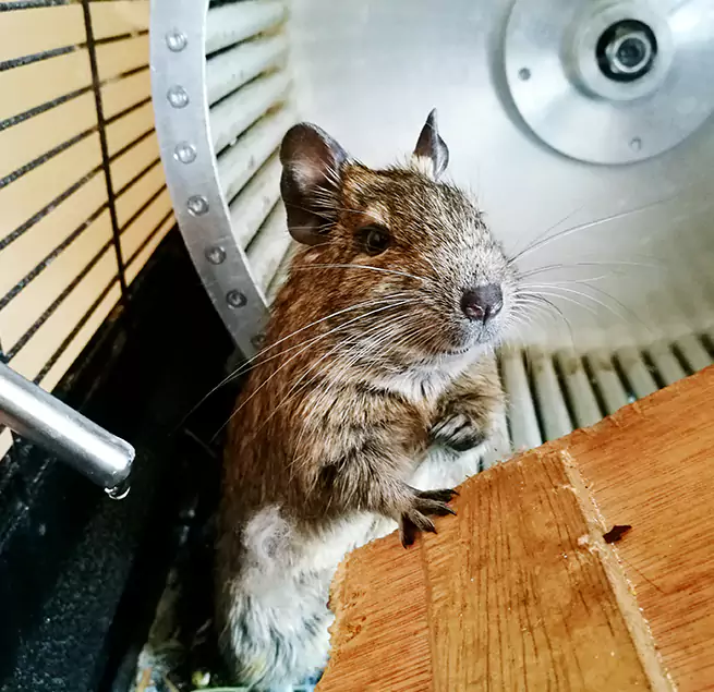 Why Homeowners & Businesses Trust Us Cincinnati, OH